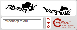 reCaptcha 圖像