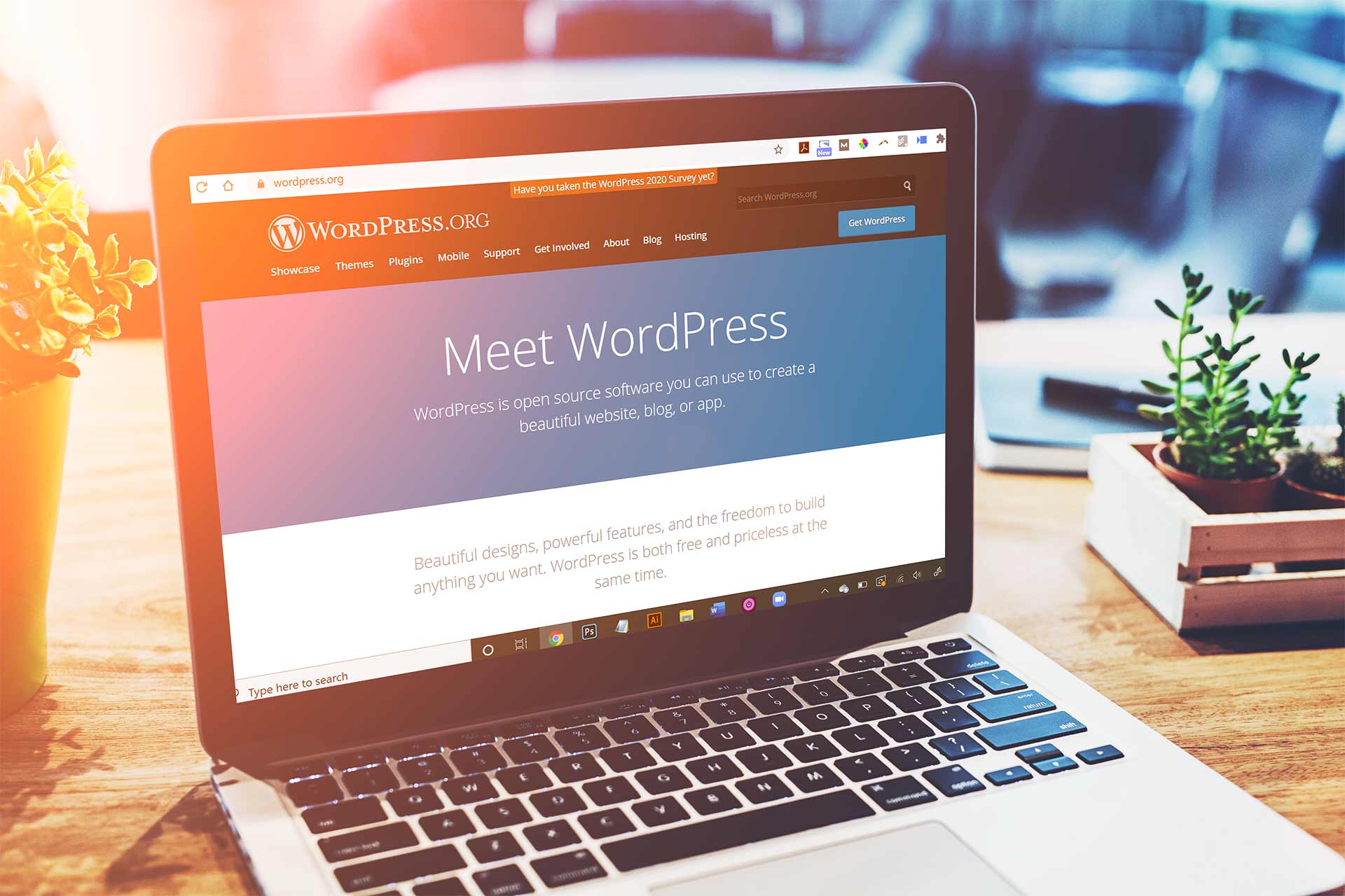 image from 從 WordPress 轉到 Hugo